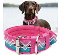 NeckShield Control Dog Collar for Large Dogs, 5 cm Wide, with Extra Thick Padding and Handle, SGS Certified Safety, Professional Protection, 43-50 cm, Pink-Teal