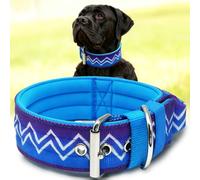 NeckShield Control Dog Collar for Large Dogs, 5 cm Wide, with Extra Thick Padding and Handle, SGS Certified Safety, Professional Protection, 35-43 cm, Purple/Cyan