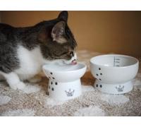 Necoichi Raised Cat Food and Water Bowl Set (Cat)