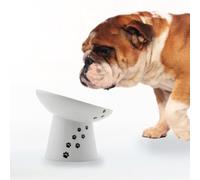 Necoichi Raised Dog Food Bowl, Elevated, for Dogs and Cats, Pets Feeding Feeder Non-Slip for Small Dogs Dishwasher and Microwave Safe, No.1 Seller in Japan! (Dog, Extra Wide Tilted)