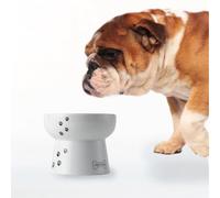 Necoichi Raised Dog Water Bowl, 0.543 kg