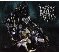 Necrite - Sic Transit Gloria Mundi