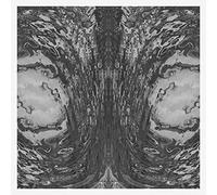 Necro Deathmort - The Capsule [VINYL]