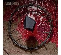 Necrogenesis : chants from the grave [VINYL]