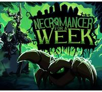 Necromancer For A Week PC Steam CD Key