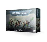 Necrons: Triarch Praetorians / Lychguard