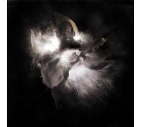 Nedry - In A Dim Light03-12Cc [VINYL]