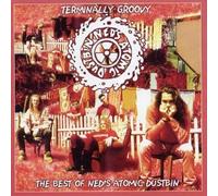 Ned's Atomic Dustbin - Terminally Groovy