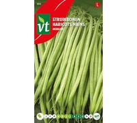 Needle Beans - Very long, very fine and tasty pods - 25 g - Seeds per gram: 3