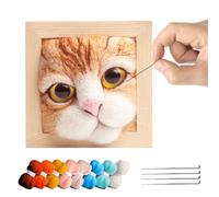 Needle Felting Kit for Beginners - Cute Cat Head Craft, Photo Frame Set | Unhappy Decorative Kit with Instructions, Soft Animal Design Project, Craft Activities,