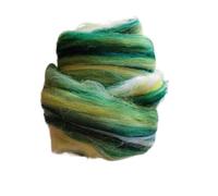 Needle Felting Wool, Felting Wool Roving for Needle and Wet Multicolor Multiple Sizes(Cs5,20g)