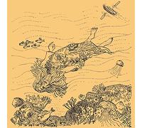 Needlepoint - The Diary Of Robert Reverie (LP) [VINYL]