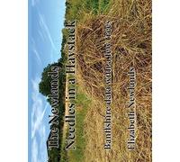 Needles in a Haystack: The Newlands of Banffshire:3 Genealogical Data: Volume 3