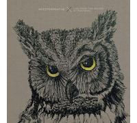 NEEDTOBREATHE - Live From The Woods