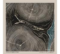 NEEDTOBREATHE - RIVERS IN THE WASTELAND CD NEW