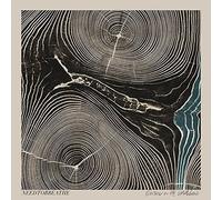 NEEDTOBREATHE - RIVERS IN THE WASTELAND - Vinyl Record - J3z