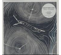 NEEDTOBREATHE - RIVERS IN THE WASTELAND - Vinyl Record VINYL - G3z