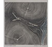 Needtobreathe - Rivers in the Wasteland [New Vinyl LP] Digital Download