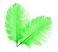 Neel Blue 10Pcs Natural Ostrich Feathers, 50-60 Cm Large Plume, Green