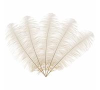 Neel Blue 10Pcs Natural Ostrich Feathers, 50-60 Cm Large Plume, Ivory