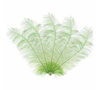 Neel Blue 10Pcs Natural Ostrich Feathers, 50-60 Cm Large Plume, Mint