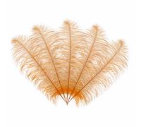 Neel Blue 10Pcs Natural Ostrich Feathers, 50-60 Cm Large Plume, Orange