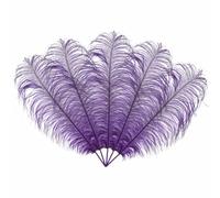 Neel Blue 10Pcs Natural Ostrich Feathers, 50-60 Cm Large Plume, Purple