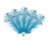 Neel Blue 10Pcs Natural Ostrich Feathers, 50-60 Cm Large Plume, Turquoise