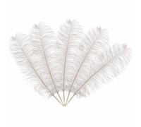 Neel Blue 10Pcs Natural Ostrich Feathers, 50-60 Cm Large Plume, White