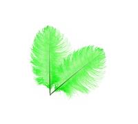 Neel Blue 10pcs Ostrich Feathers Plume, 50cm - 60cm in Green Neel Blue Green