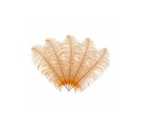 Neel Blue 10pcs Ostrich Feathers Plume, 50cm - 60cm in Orange Neel Blue Orange