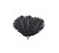Neel Blue 10pcs Ostrich Plume, Natural Feather, 35cm - 40cm in Black Neel Blue Black