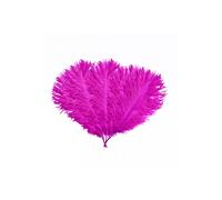 Neel Blue 10pcs Ostrich Plume, Natural Feather, 35cm - 40cm in Fuchsia Neel Blue Fuchsia