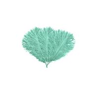 Neel Blue 10pcs Ostrich Plume, Natural Feather, 35cm - 40cm in Mint Neel Blue Mint