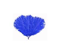 Neel Blue 10pcs Ostrich Plume, Natural Feather, 35cm - 40cm in Royal Neel Blue Royal