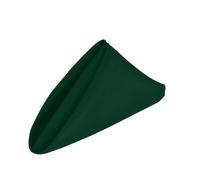 Neel Blue 20 Inch Hunter Green Polyester Table Napkins, Reusable, Wrinkle-Resistant - 50X50Cm, 12Pcs