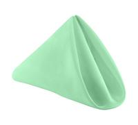 Neel Blue 20 Inch Mint Green Polyester Table Napkins, Reusable, Wrinkle-Resistant - 50X50Cm, 1Pc