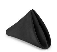 Neel Blue 20 Inch Polyester Table Napkins, Reusable, Wrinkle-Resistant Cloth Napkins - Black, 10Pcs