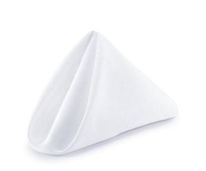Neel Blue 20 Inch White Polyester Table Napkins, Reusable, Wrinkle-Resistant - 50X50Cm, 1Pc