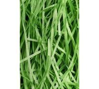 Neel Blue 200g Shredded Tissue Paper, Soft Cushioning Paper in Green Neel Blue Green