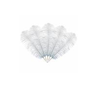 Neel Blue 50cm - 60cm Ostrich Feathers Plume, 5pcs in Baby Blue Neel Blue Baby Blue