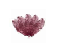 Neel Blue 50cm - 60cm Ostrich Feathers Plume, 5pcs in Burgundy Neel Blue Burgundy