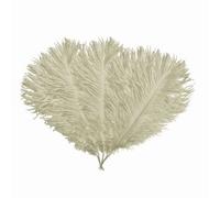 Neel Blue 5Pcs Ivory Ostrich Feather Plume, Natural Feather Fringe, 35Cm-40Cm