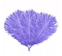 Neel Blue 5Pcs Light Lilac Ostrich Feather Plume, Natural Feather Fringe, 35Cm-40Cm