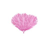 Neel Blue 5pcs Ostrich Feathers, Natural Plume, 35cm - 40cm in Baby Pink Neel Blue Baby Pink