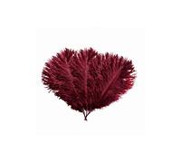 Neel Blue 5pcs Ostrich Feathers, Natural Plume, 35cm - 40cm in Burgundy Neel Blue Burgundy