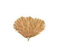 Neel Blue 5pcs Ostrich Feathers, Natural Plume, 35cm - 40cm in Gold Neel Blue Gold