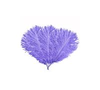 Neel Blue 5pcs Ostrich Feathers, Natural Plume, 35cm - 40cm in Lilac Neel Blue Lilac