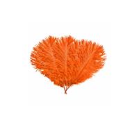 Neel Blue 5pcs Ostrich Feathers, Natural Plume, 35cm - 40cm in Orange Neel Blue Orange