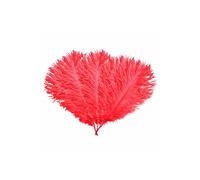 Neel Blue 5pcs Ostrich Feathers, Natural Plume, 35cm - 40cm in Red Neel Blue Red